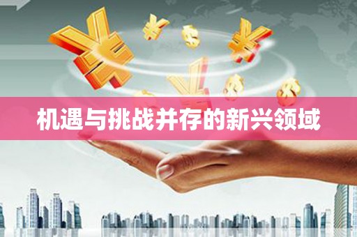 大英机遇与挑战并存的新兴领域