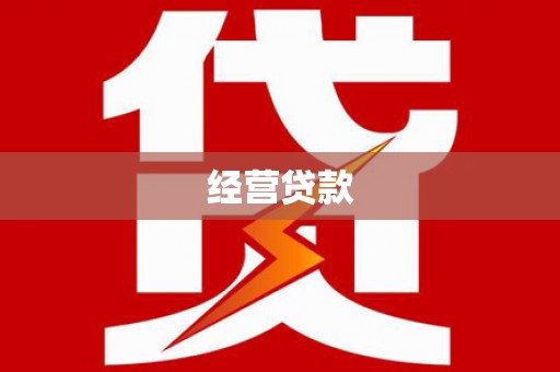 大英经营贷款