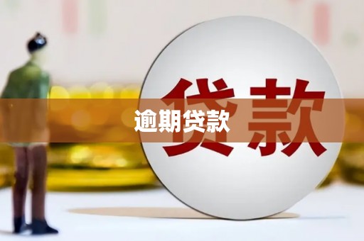 大英逾期贷款